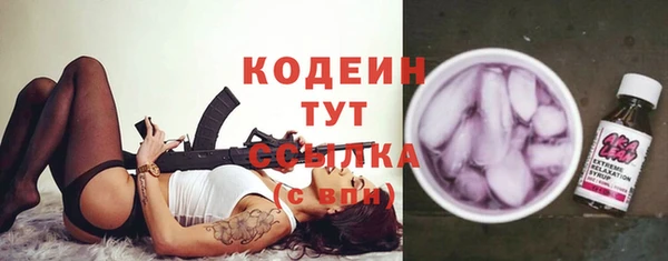 амф Пересвет