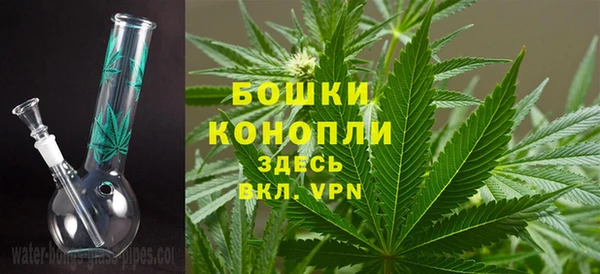 хмурый Яровое