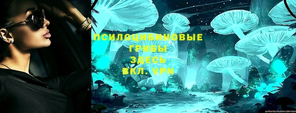 амф Пересвет
