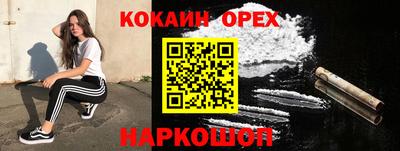 Альфа ПВП Гатчина