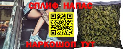 Альфа ПВП Гатчина