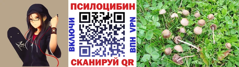 Галлюциногенные грибы Cubensis  hydra вход  Алушта 