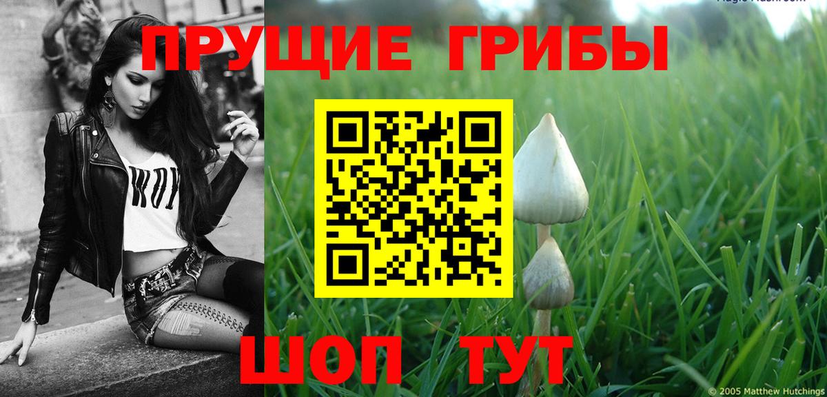 Галлюциногенные грибы прущие грибы  Вход с VPN  Алушта 