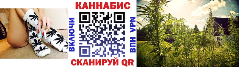 Каннабис планчик  купить наркоту  Алушта 